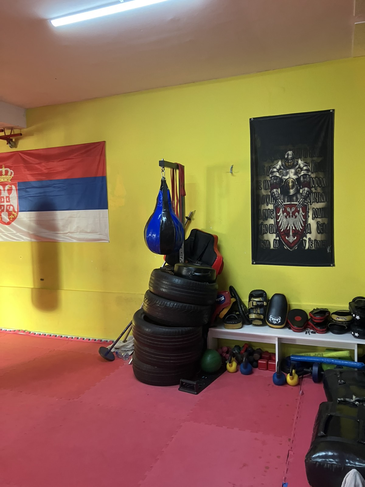 Patriotski motifs u sali